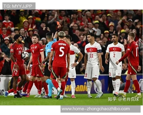 威尔士与美国足球赛精彩对决比分揭晓分析与赛后点评